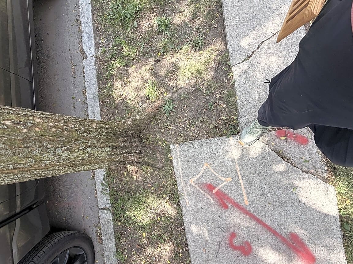 Image submitted with report