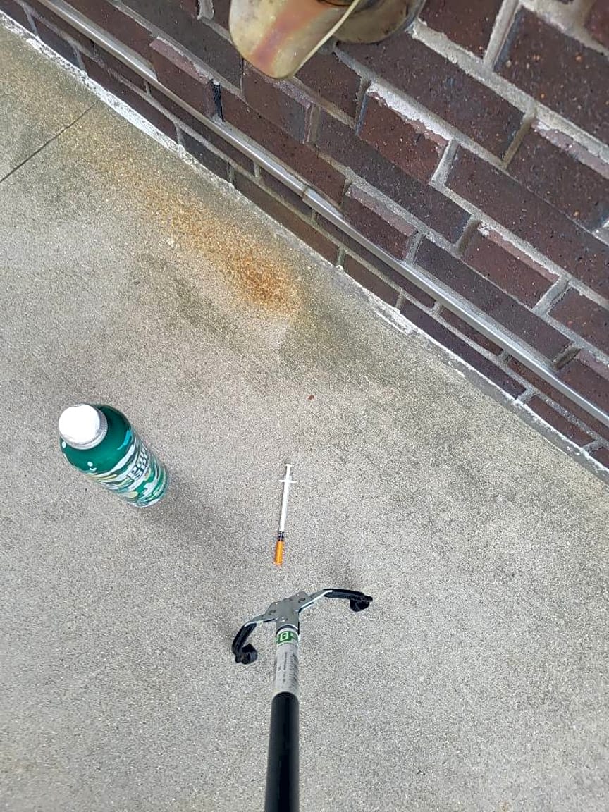 Image submitted with report