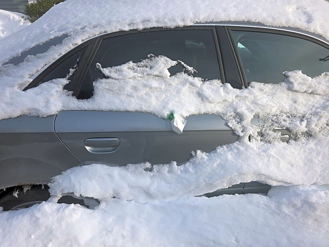 Image submitted with report