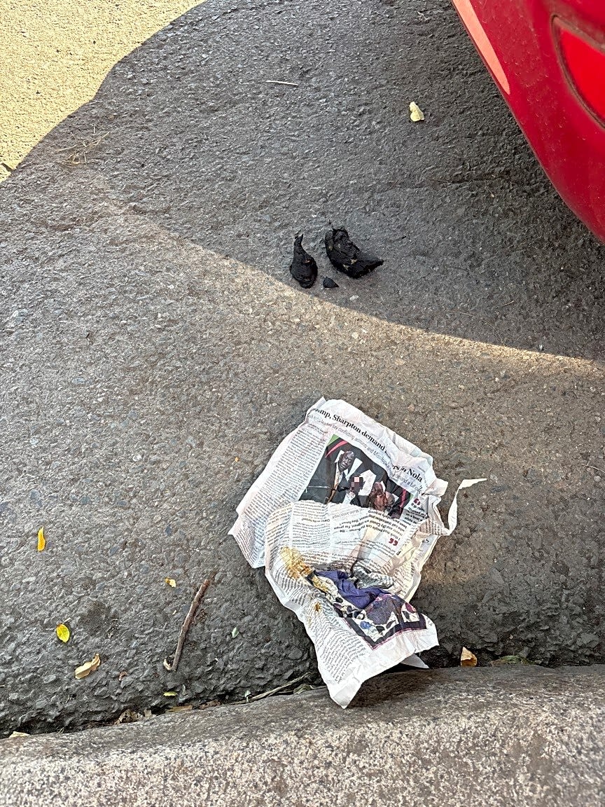 Image submitted with report