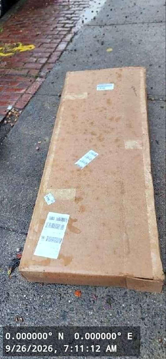 Image submitted with report
