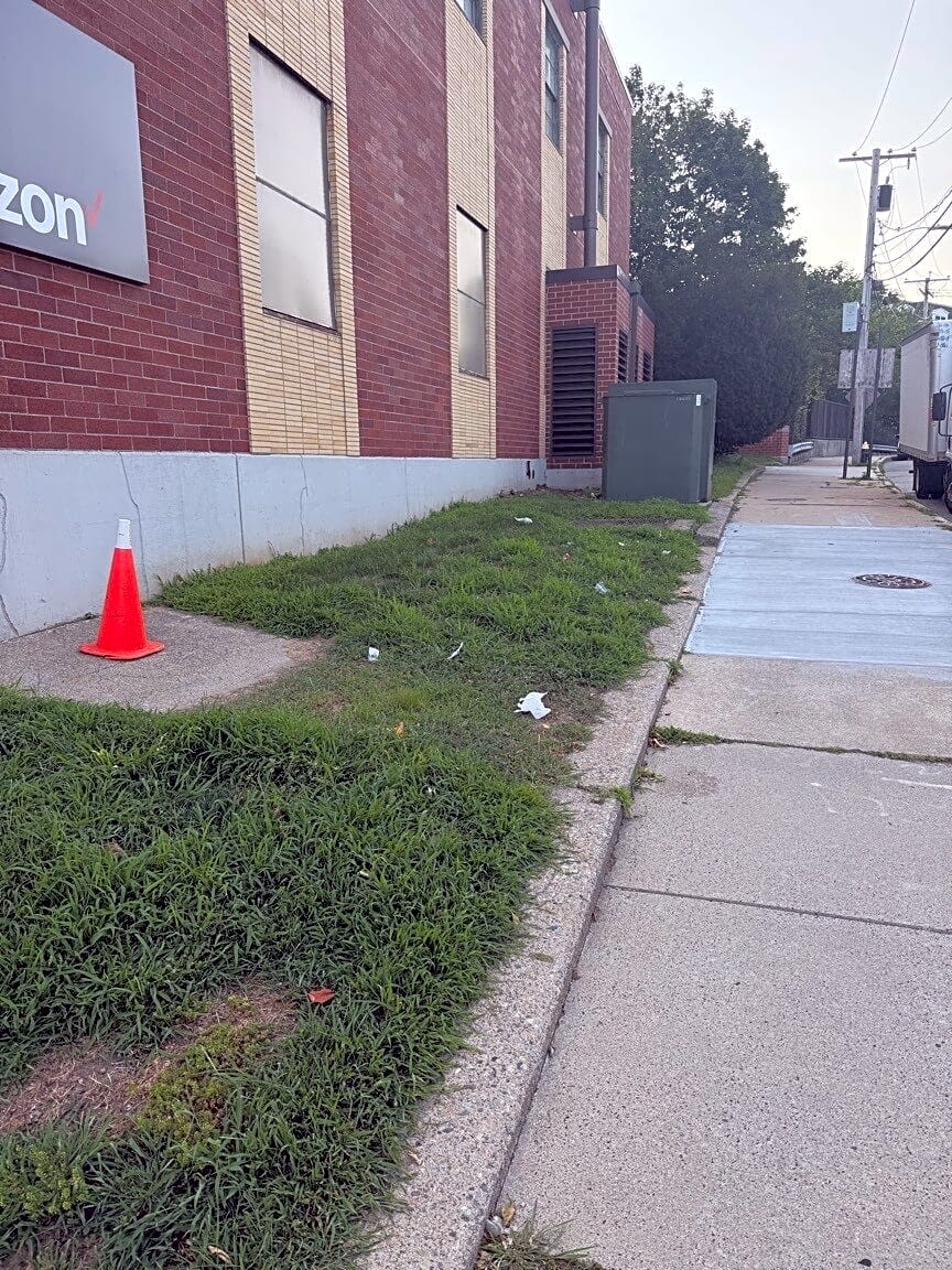 Image submitted with report