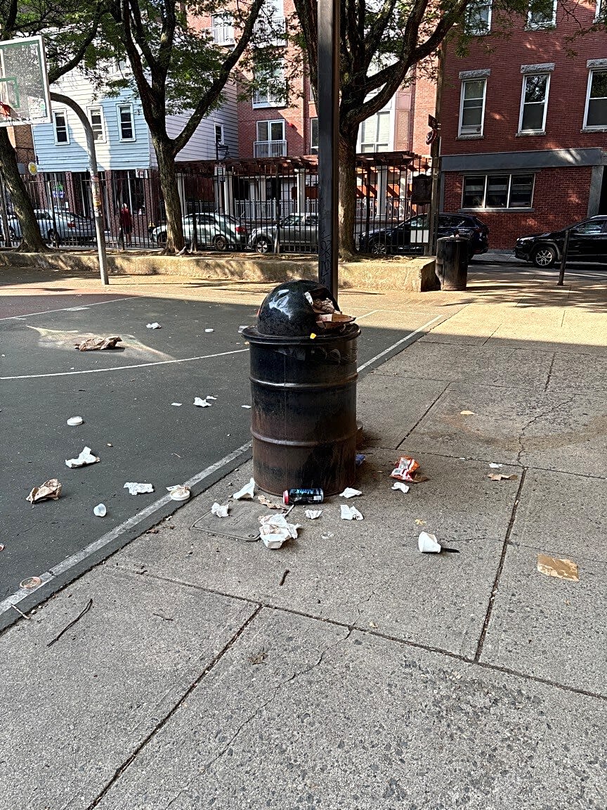Image submitted with report