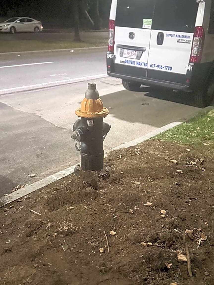 Image submitted with report