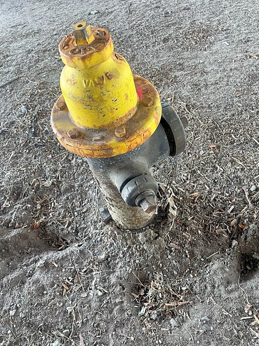 Image submitted with report