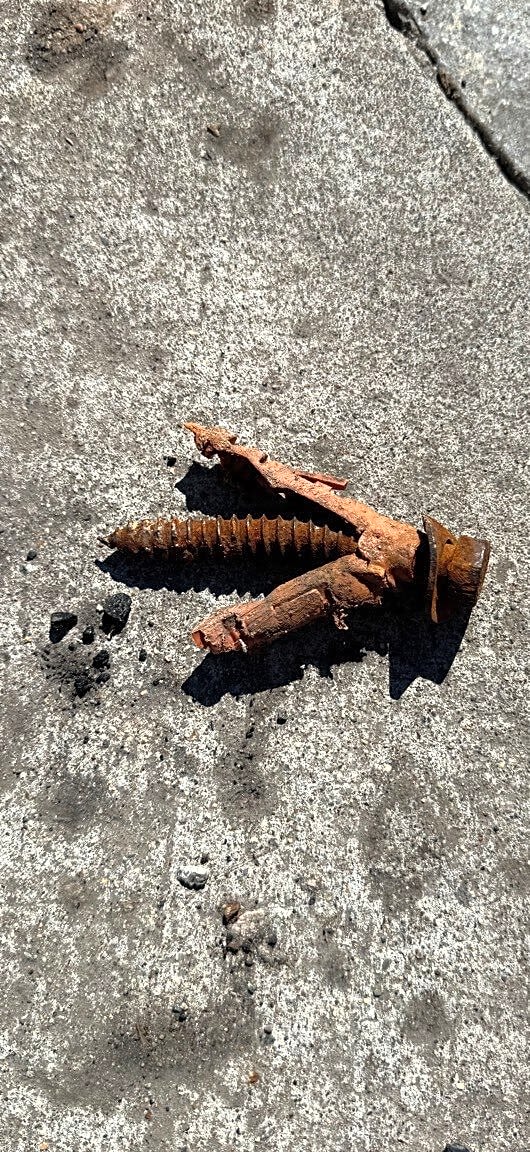 Image submitted with report