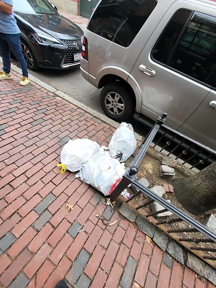 Image submitted with report