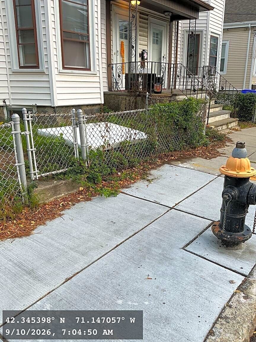 Image submitted with report