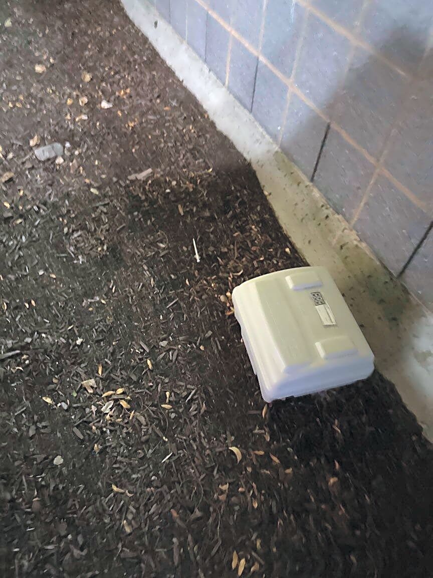 Image submitted with report