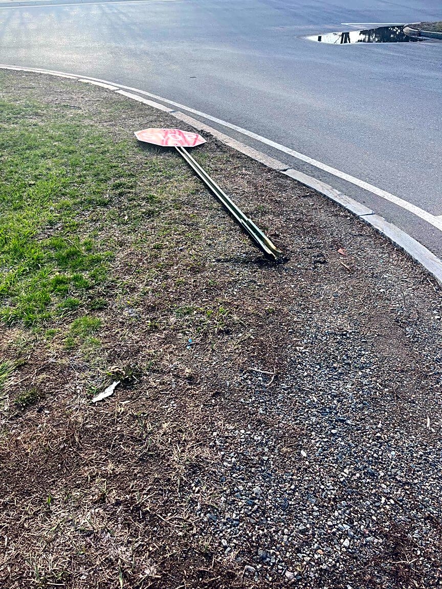 Image submitted with report