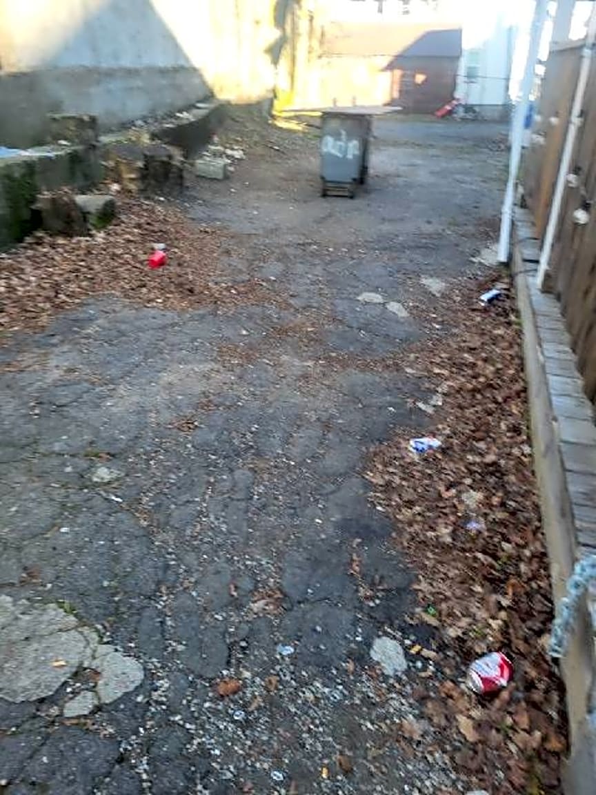 Image submitted with report