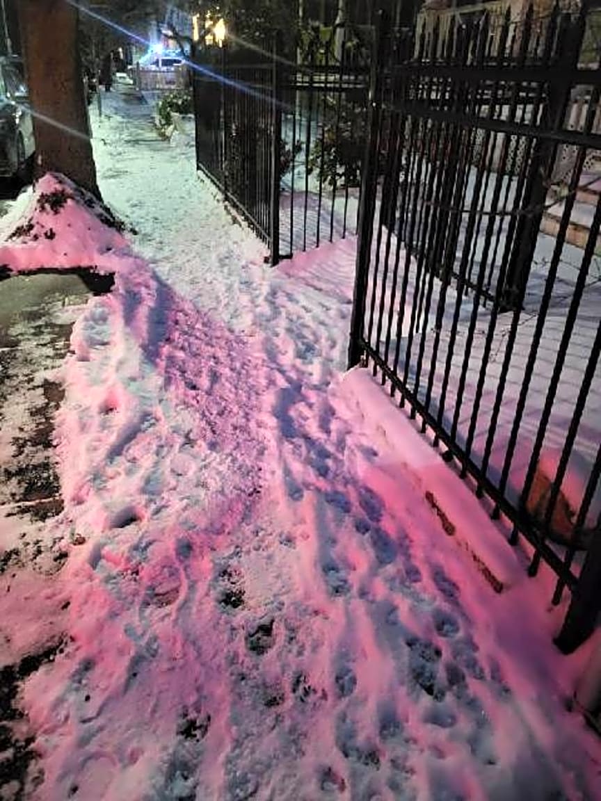 Image submitted with report