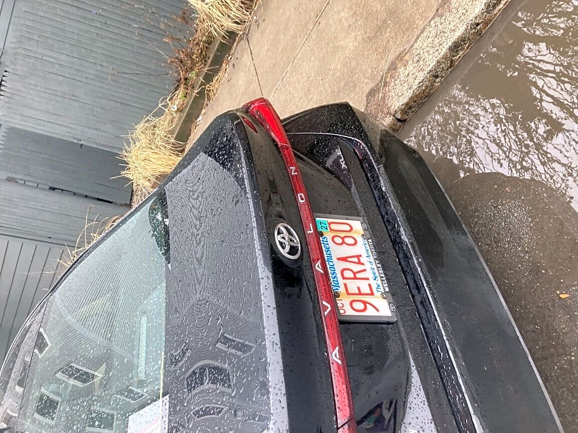 Image submitted with report