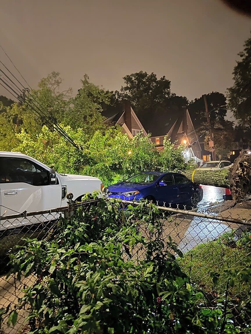 Image submitted with report
