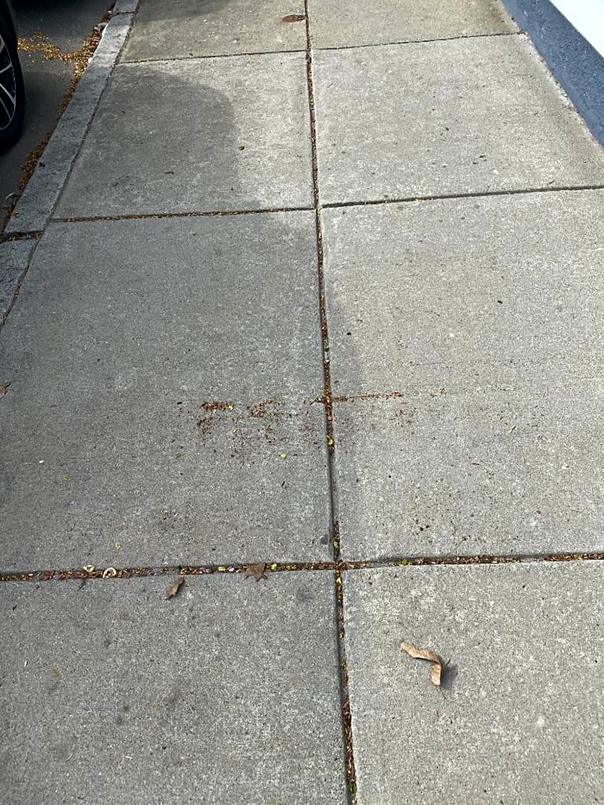 Image submitted with report