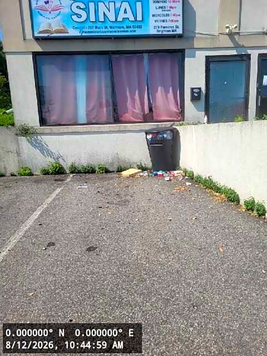 Image submitted with report