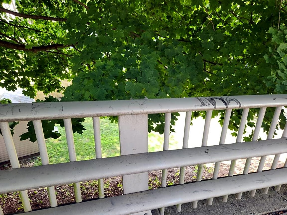 Image submitted with report