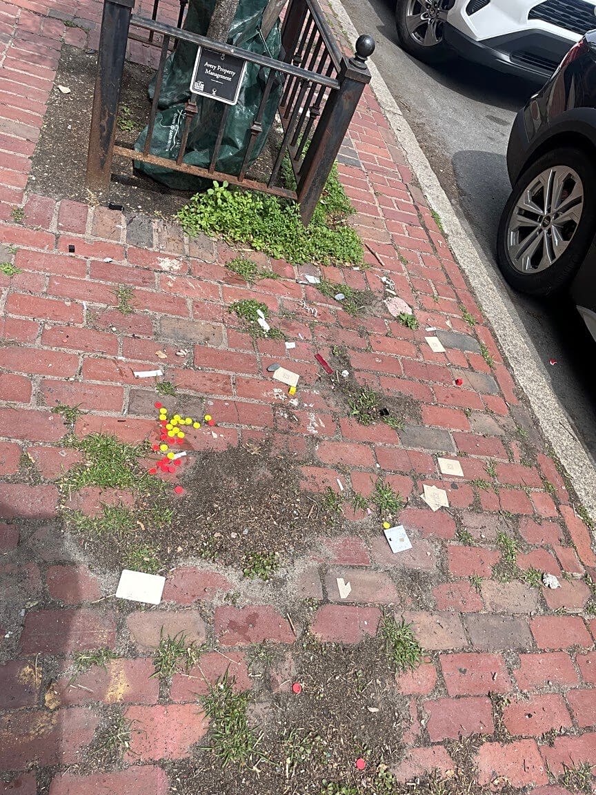 Image submitted with report