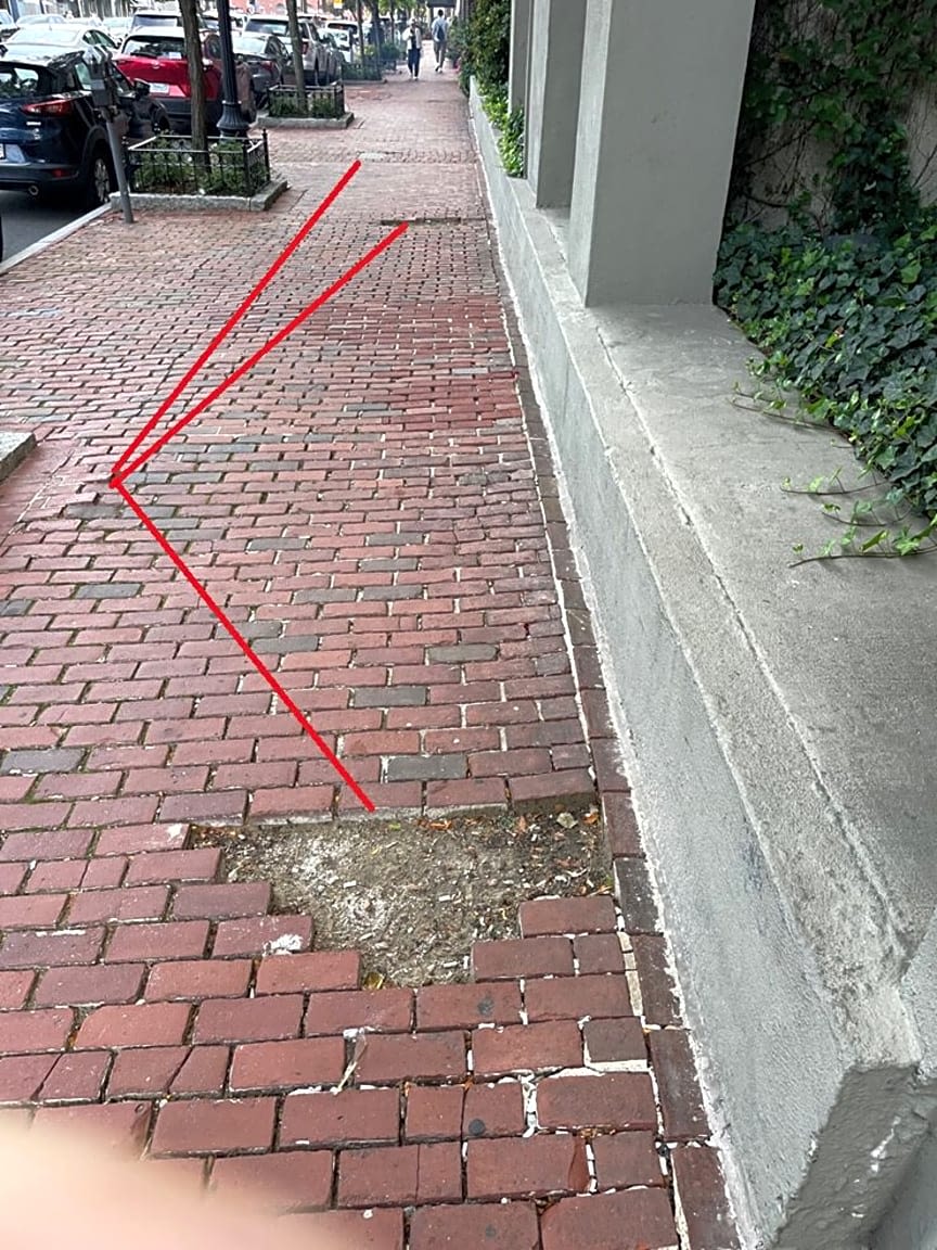 Image submitted with report