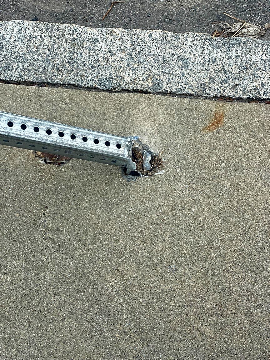 Image submitted with report