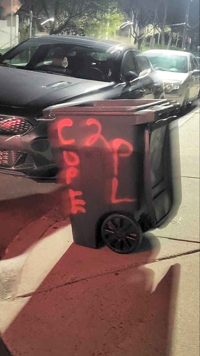 Image submitted with report