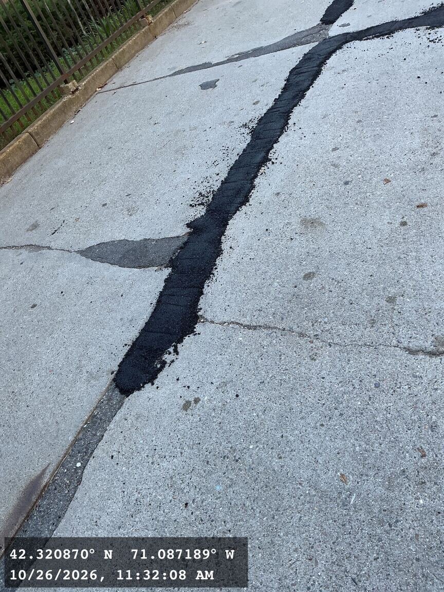 Image submitted with report