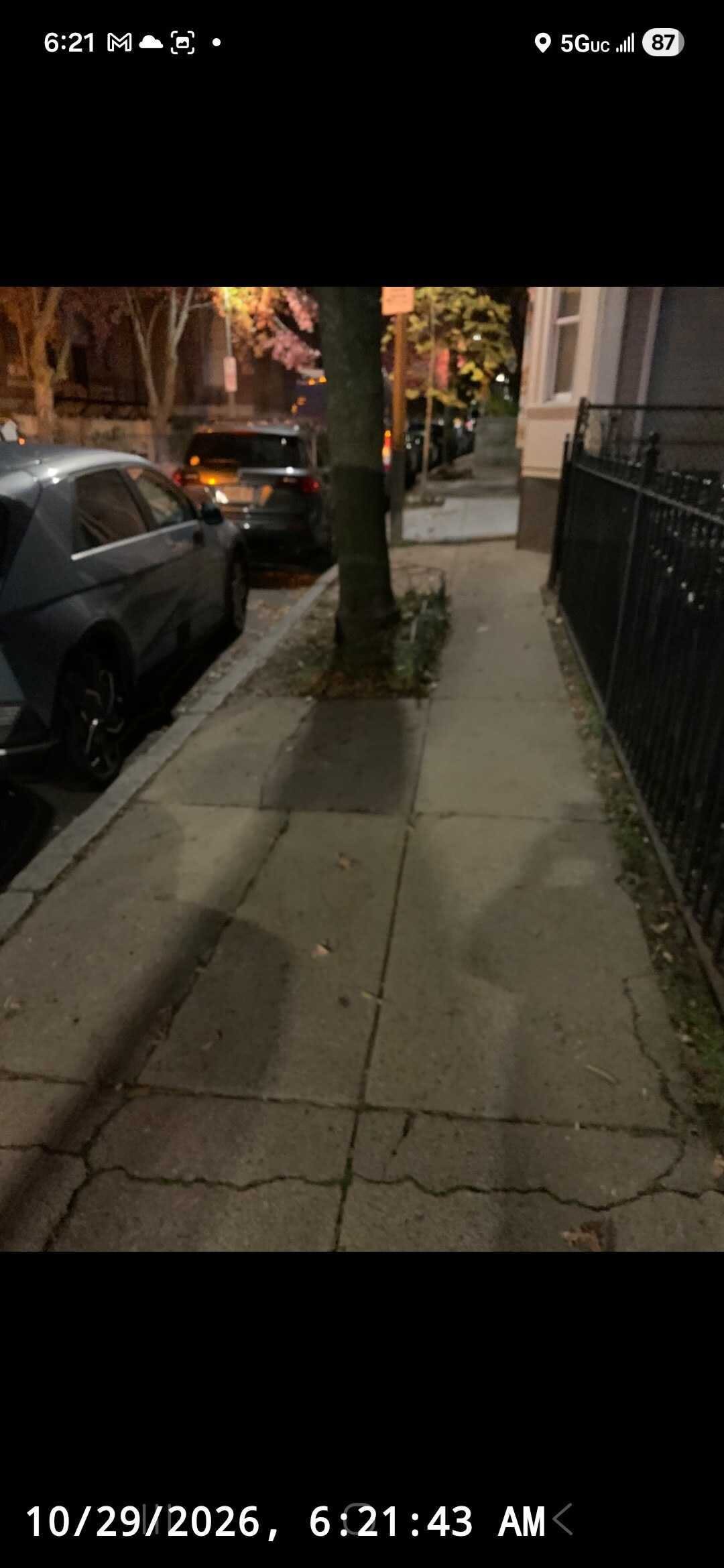 Image submitted with report