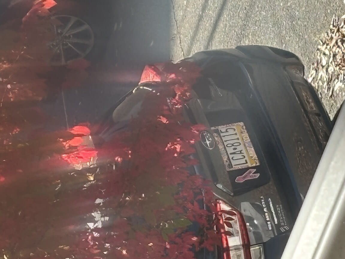 Image submitted with report