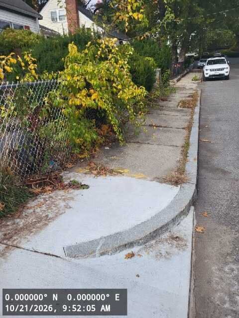 Image submitted with report