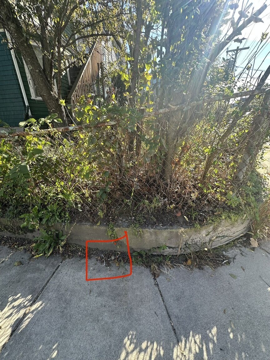 Image submitted with report