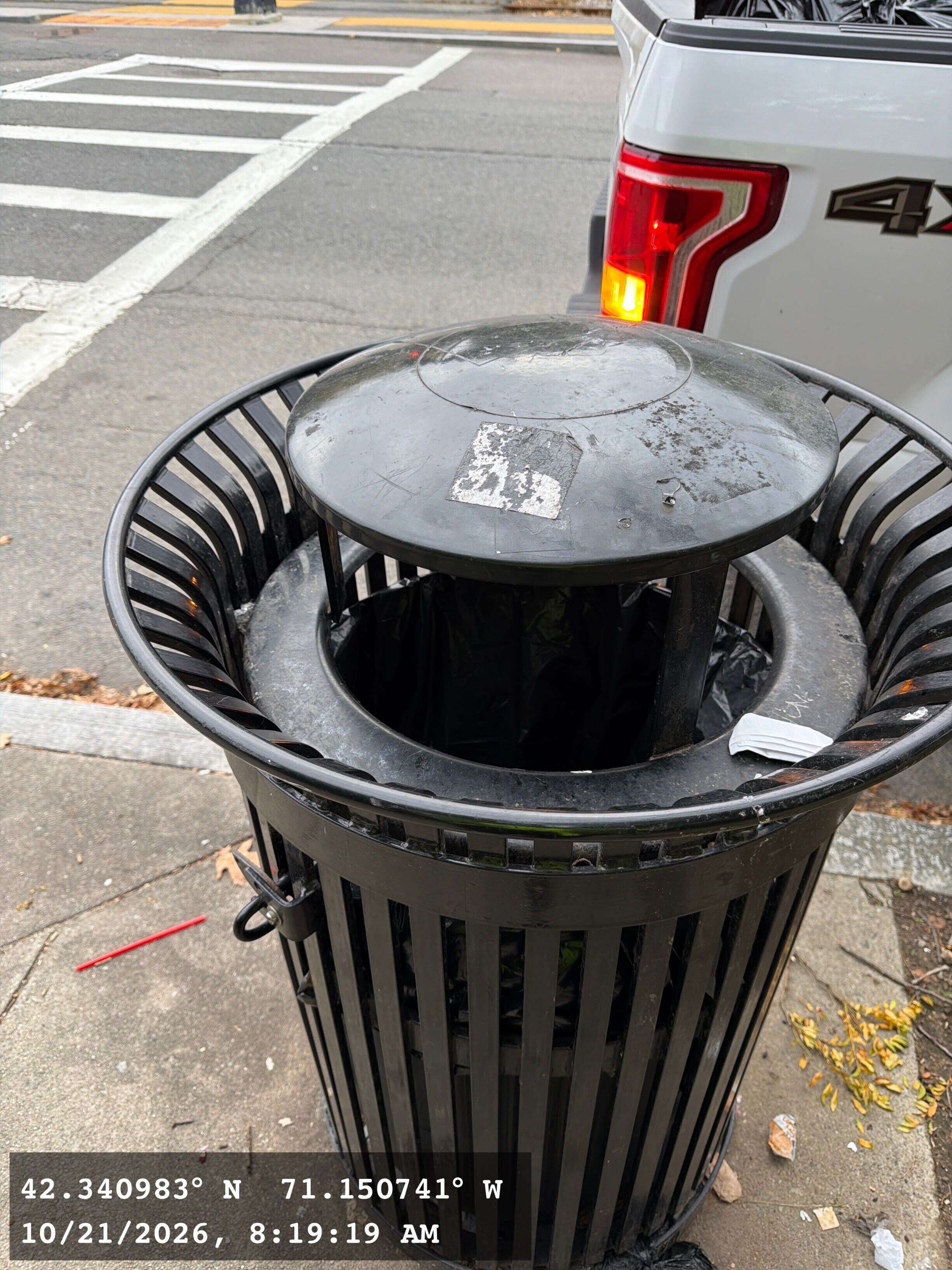 Image submitted with report