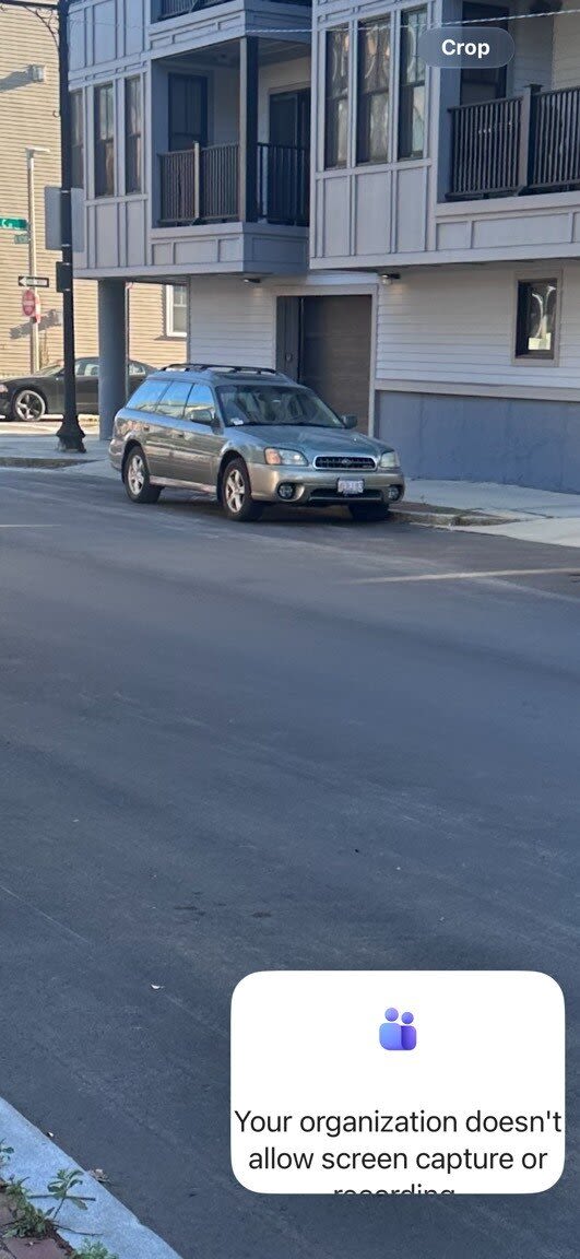 Image submitted with report