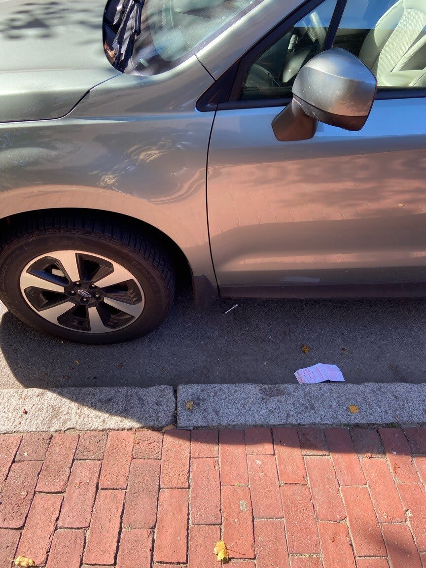 Image submitted with report