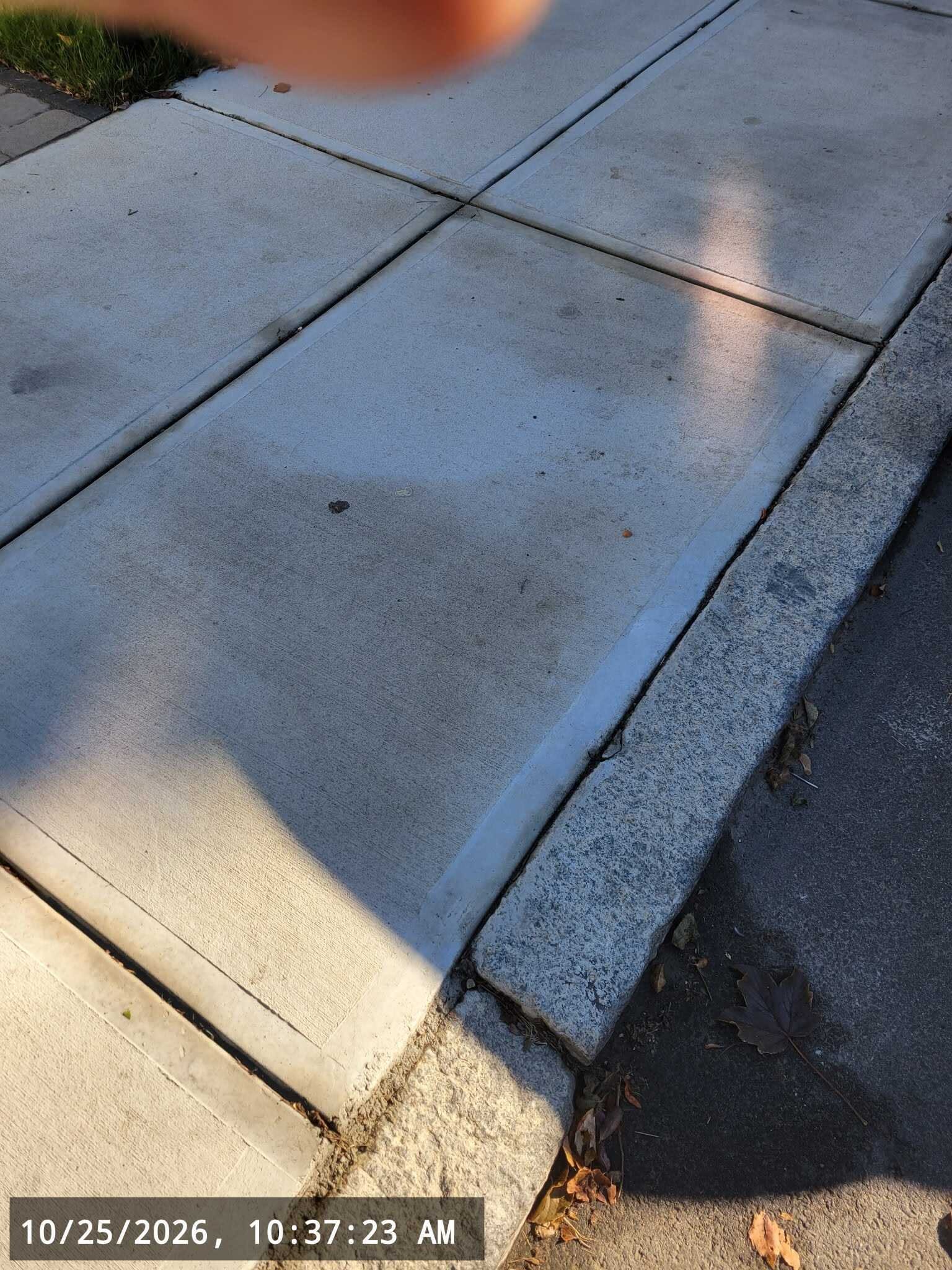 Image submitted with report