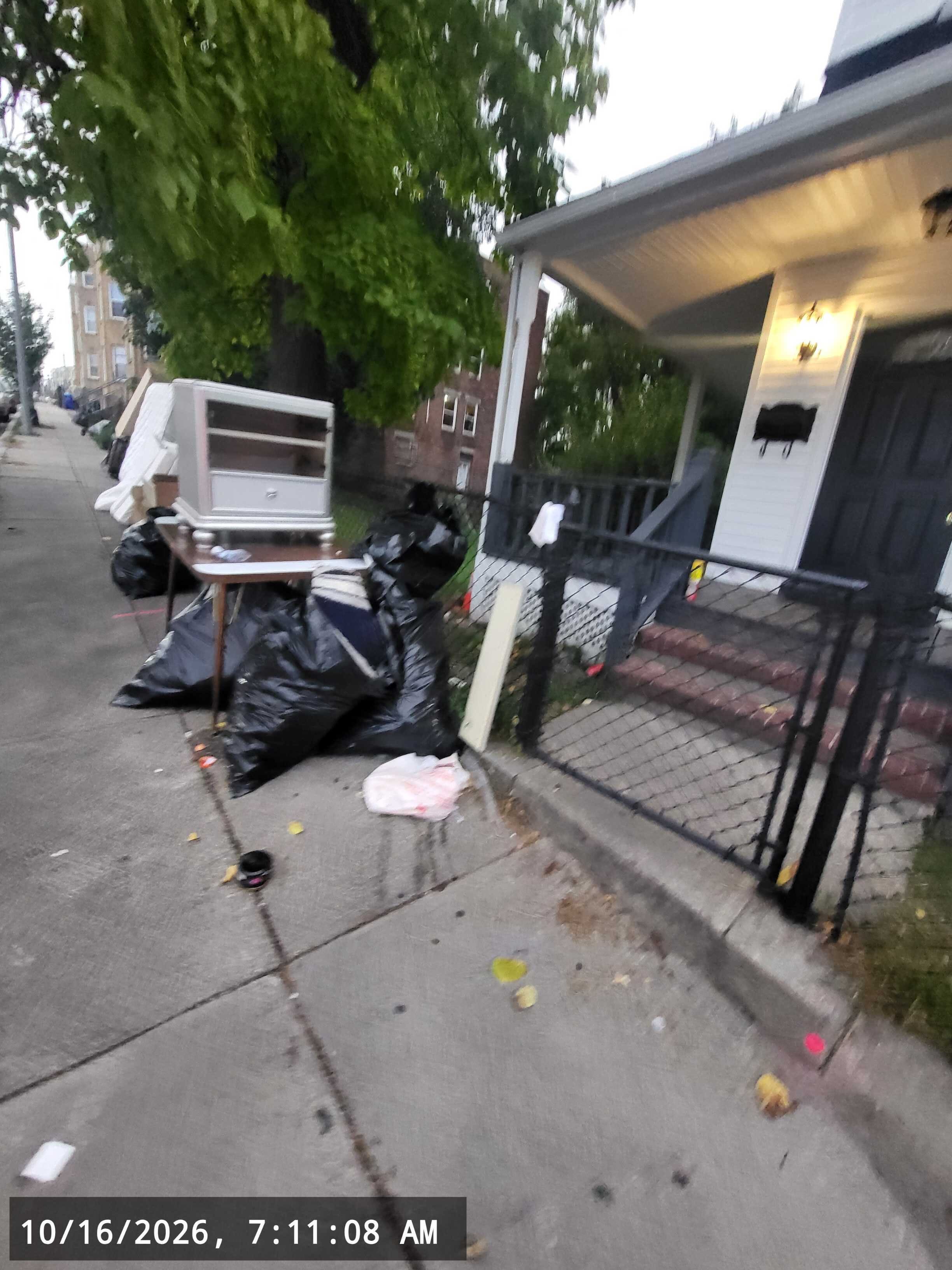 Image submitted with report