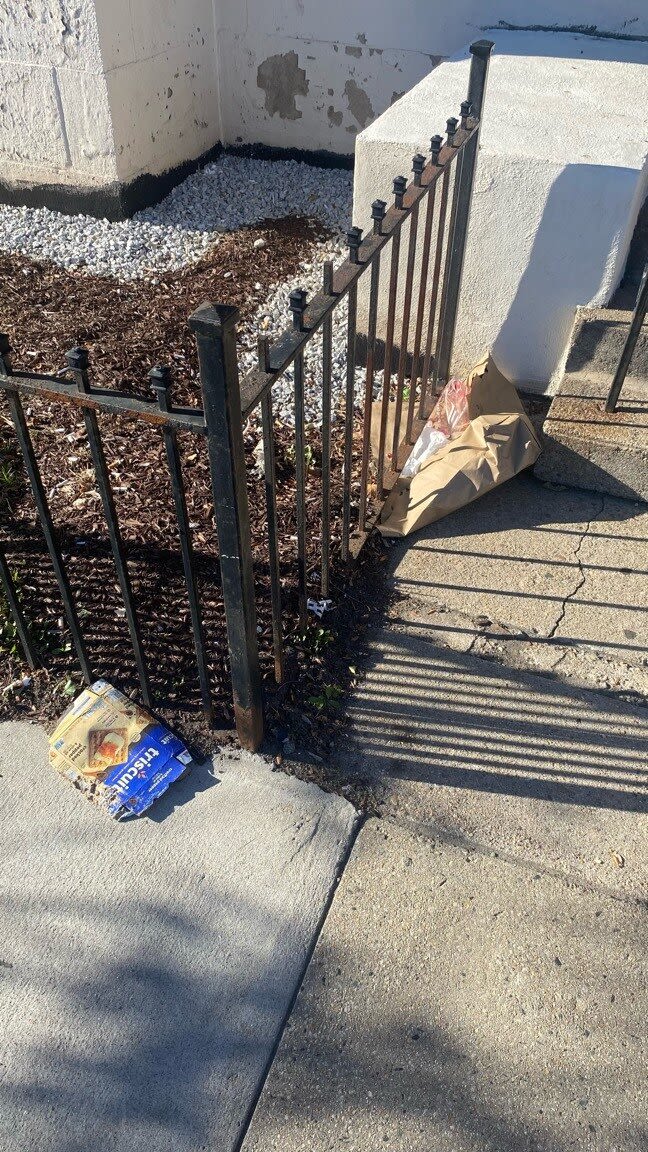 Image submitted with report