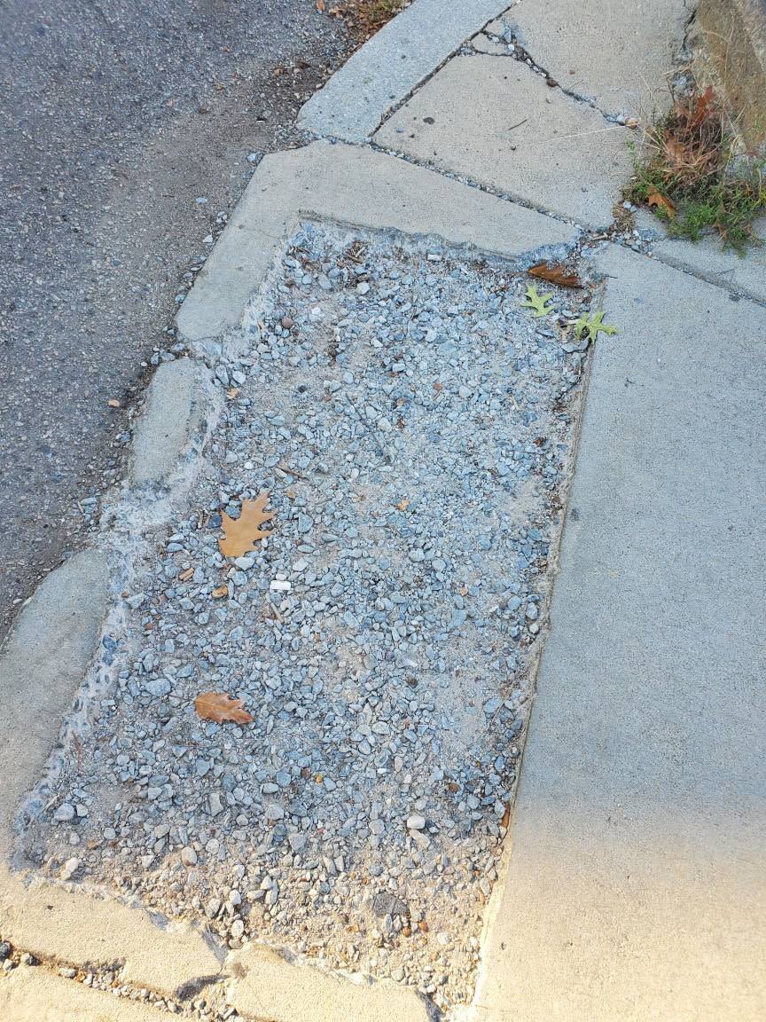 Image submitted with report