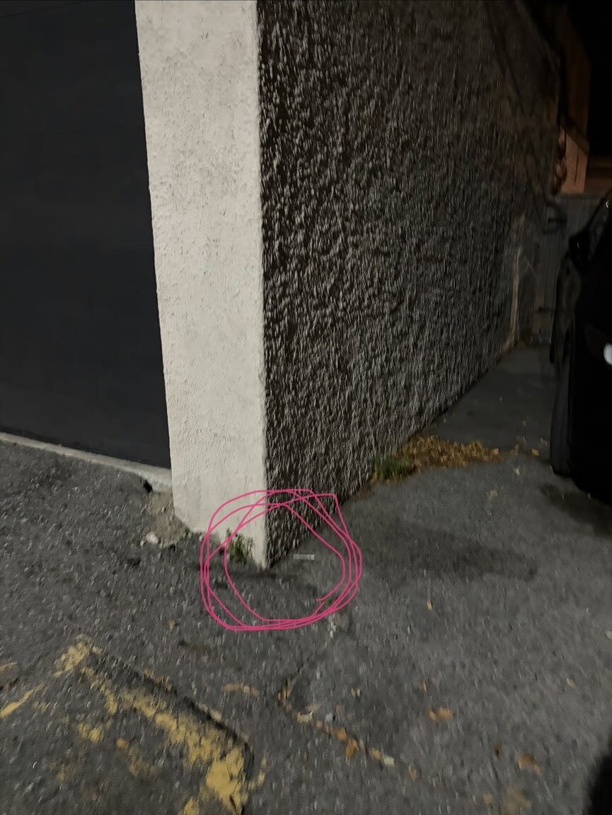 Image submitted with report