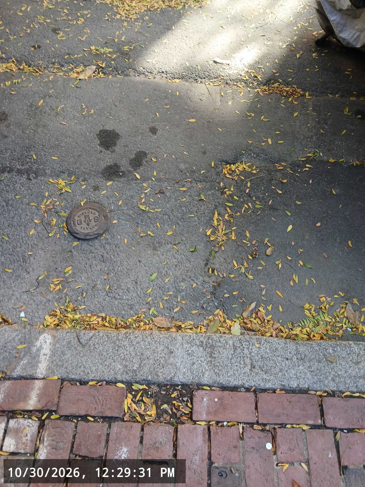 Image submitted with report