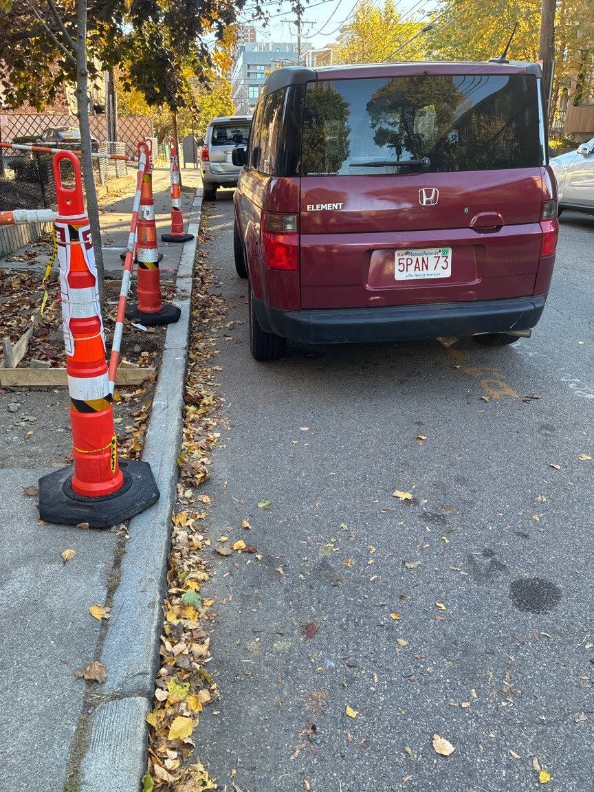 Image submitted with report