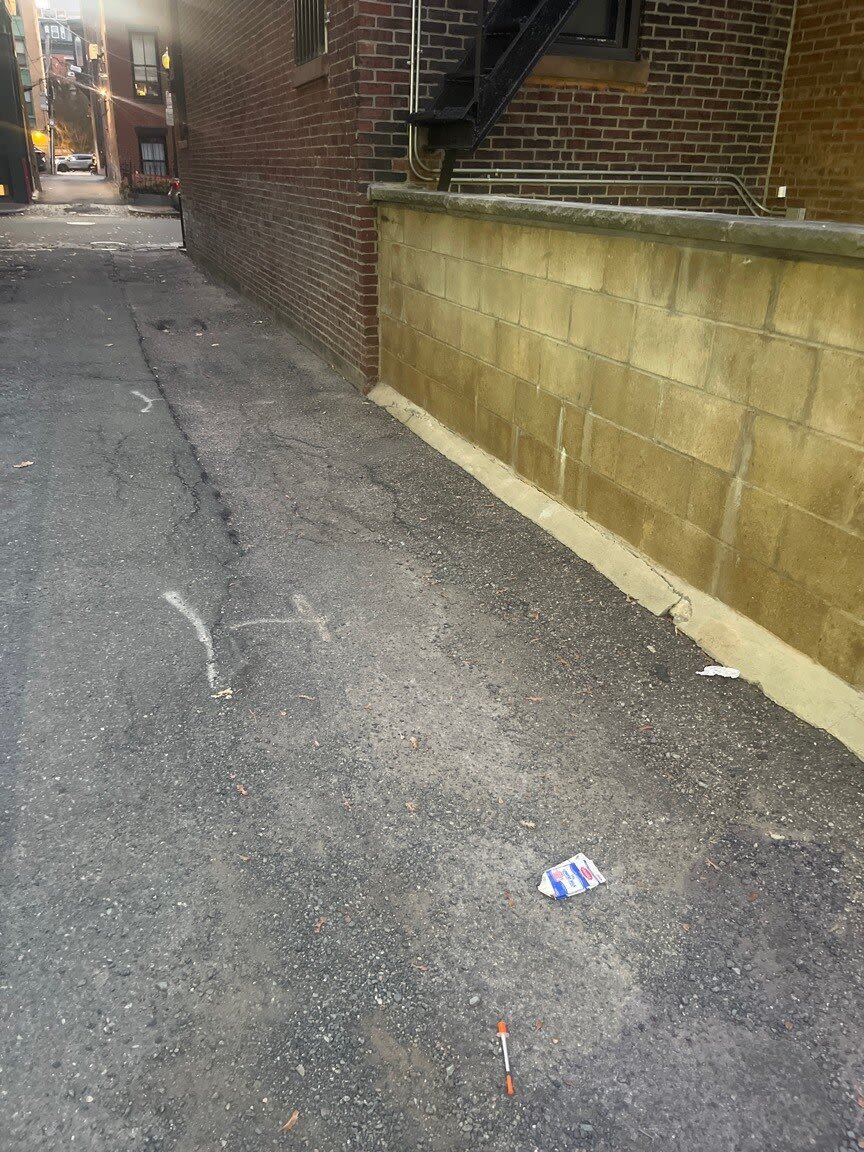 Image submitted with report
