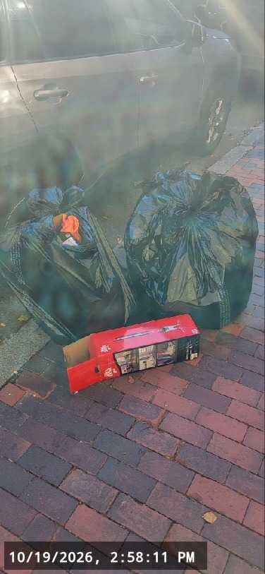 Image submitted with report