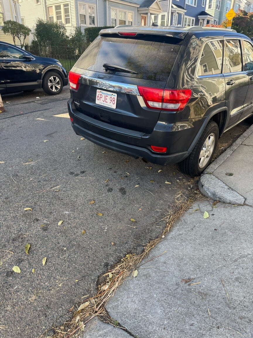 Image submitted with report