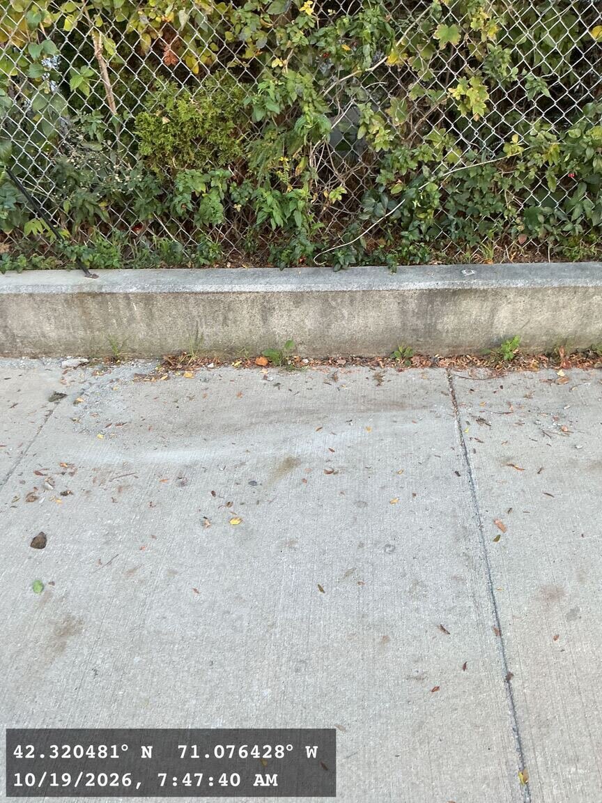 Image submitted with report