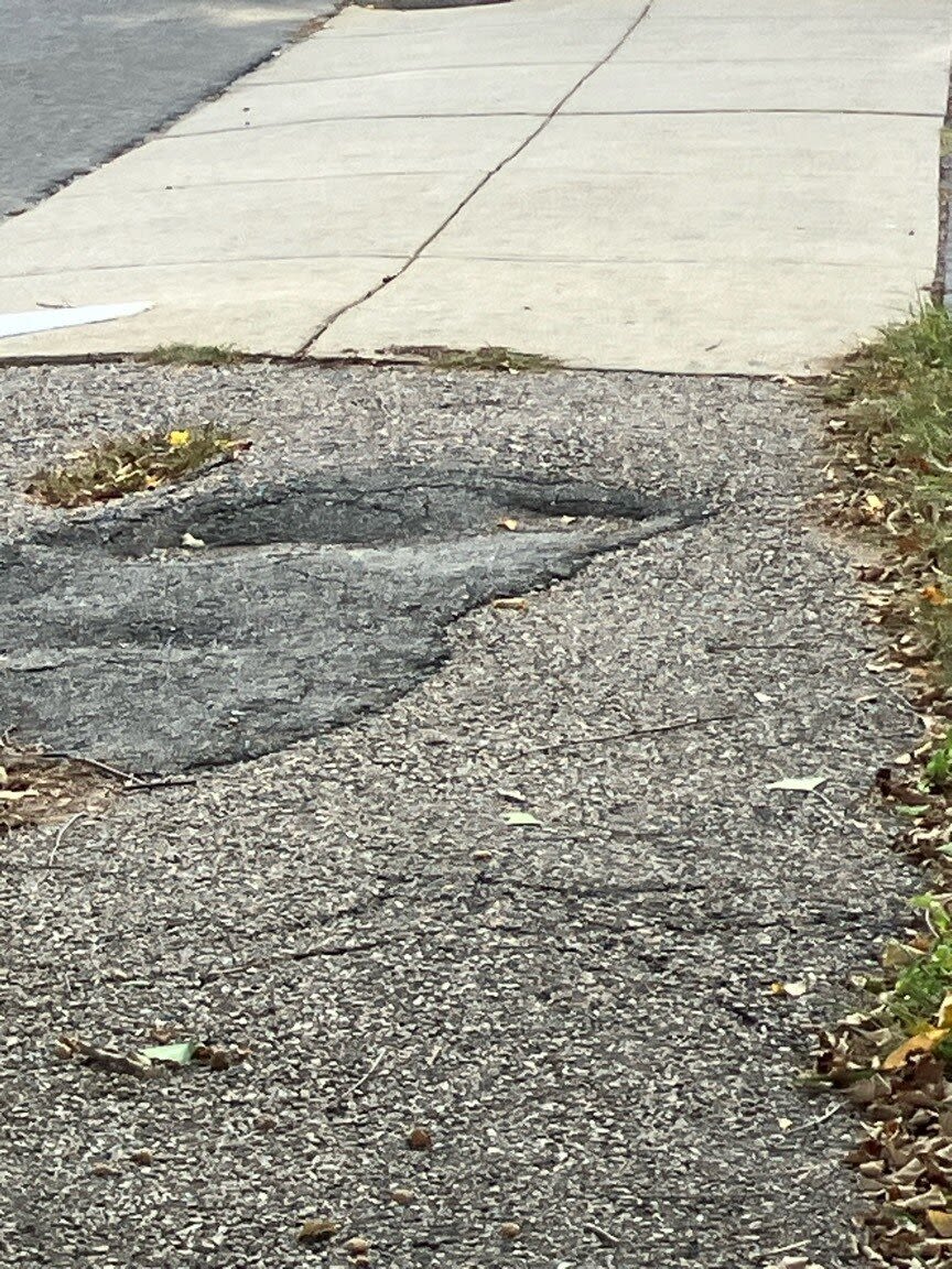 Image submitted with report
