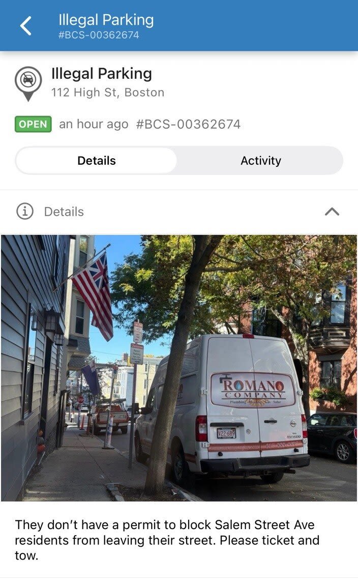 Image submitted with report