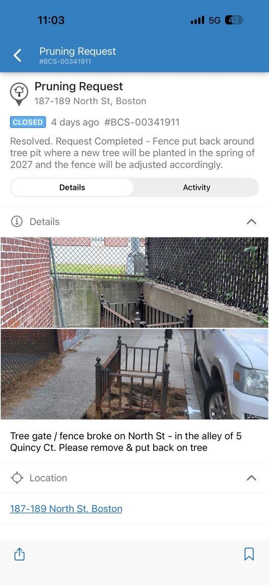 Image submitted with report