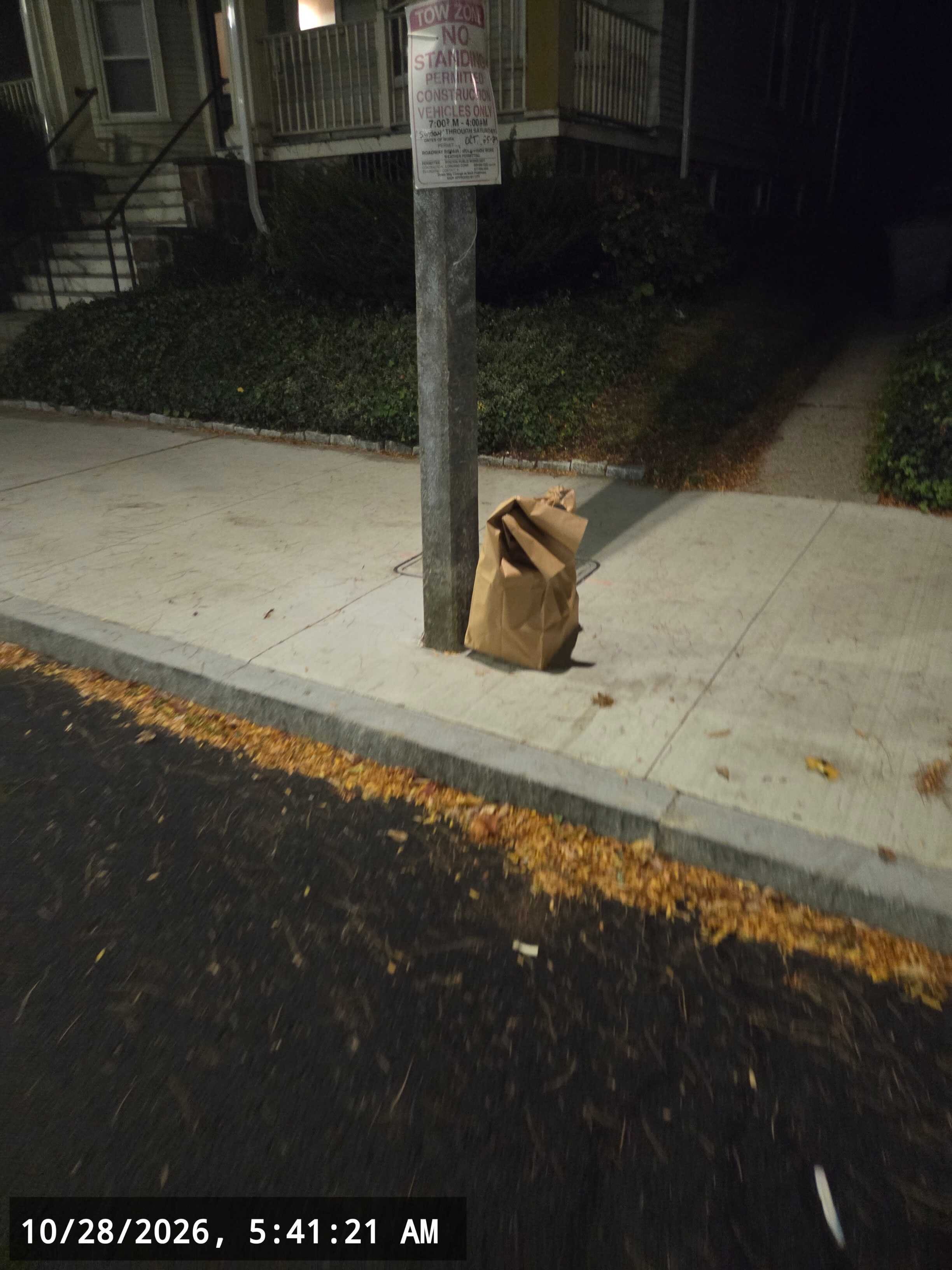 Image submitted with report