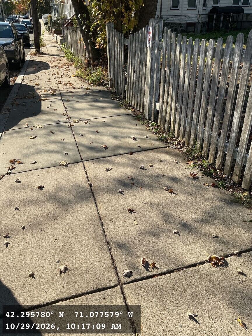 Image submitted with report