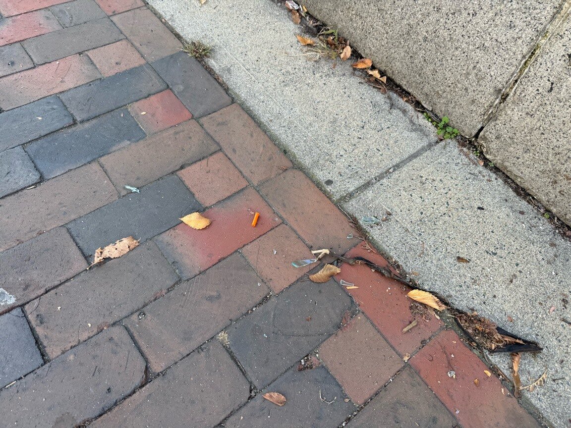 Image submitted with report